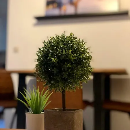 Mit Terrasse In Zwingernaehe - Hilger * Drezda