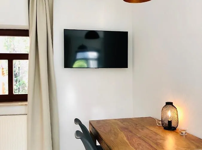 Mit Terrasse In Zwingernaehe - Hilger Apartman Drezda