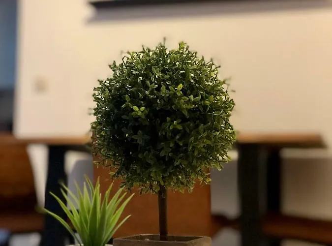 Mit Terrasse In Zwingernaehe - Hilger * Drezda